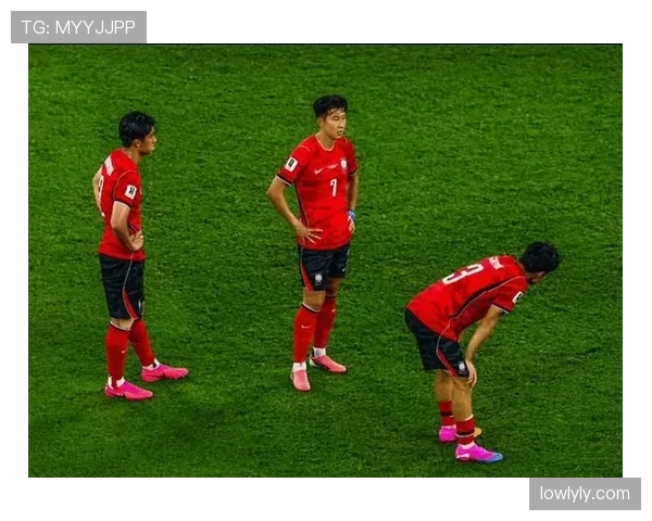韩国队世界杯小组赛表现回顾:晋级形势与战绩整理 韩国队世界杯小组赛表现回顾:晋级形势与战绩整理
